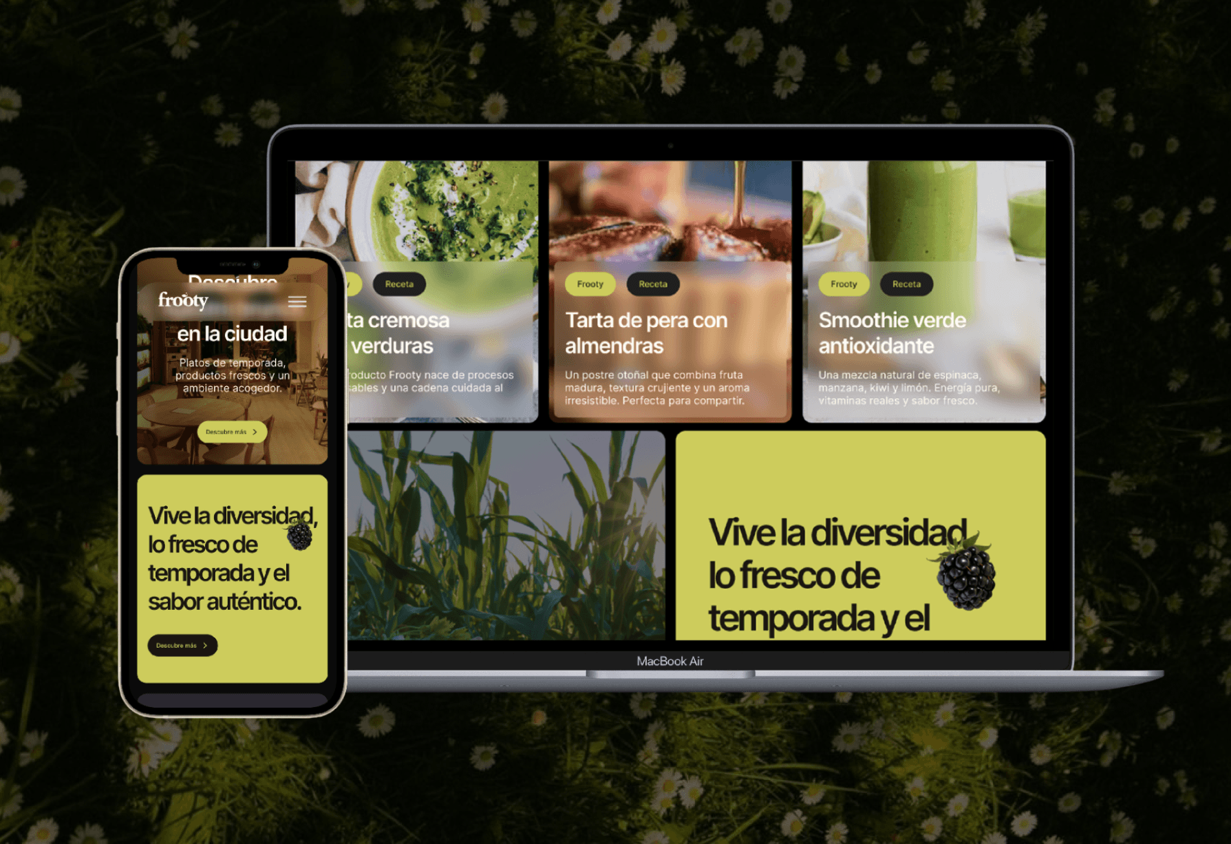 Vic productions portfolio site image